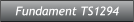 Fundament TS1294