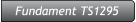 Fundament TS1295