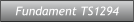 Fundament TS1294