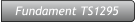 Fundament TS1295